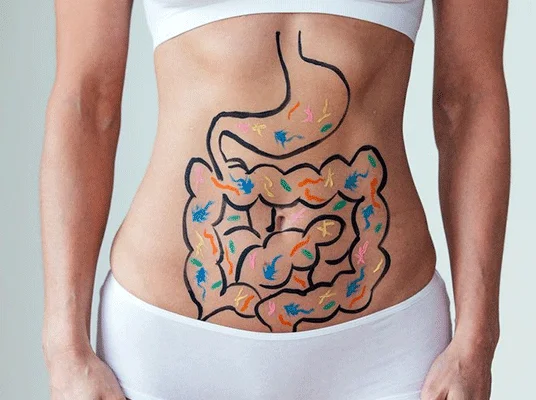 gut-microbiome-disorder-treatment-cost.webp